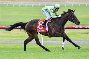 Impressive filly rings city bell for first win